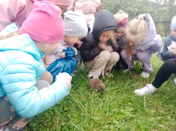 sprzątanie (10).JPG