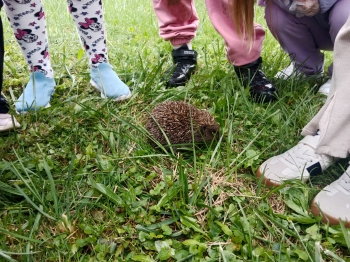 sprzątanie (18)