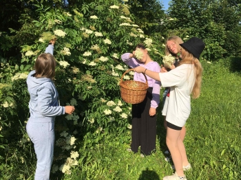 5acc9aeb-f866-402d-994d-3da9c8429e5a