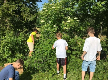 bc393e54-fdfa-44f4-89a2-433065484772