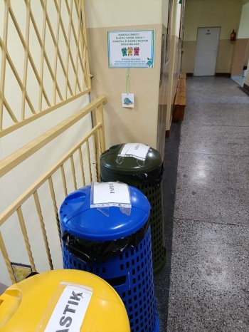 8bea5809-b836-4807-bbb4-47e5f950e6ea