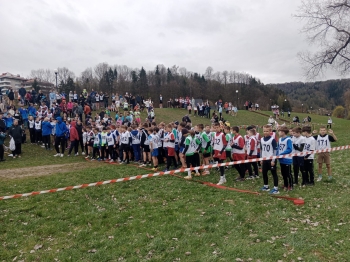 WhatsApp Image 2026-04-26 at 19.47.33.jpeg