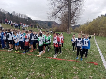 WhatsApp Image 2026-04-26 at 19.47.37.jpeg