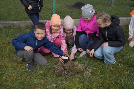 Kampania “Drzewa są ważne” w ramach II Małopolskiego Dnia dla Klimatu
