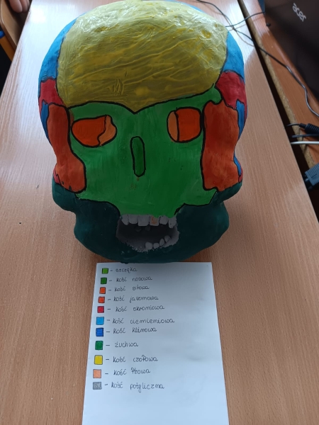 Relacja z zakończenia lekcji biologii w klasie 7