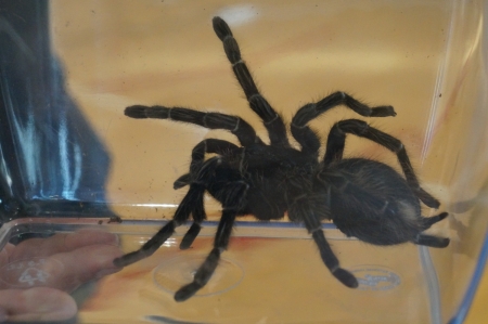 Żywa lekcja przyrody